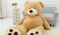 Teddy Bear Plush Toy-5