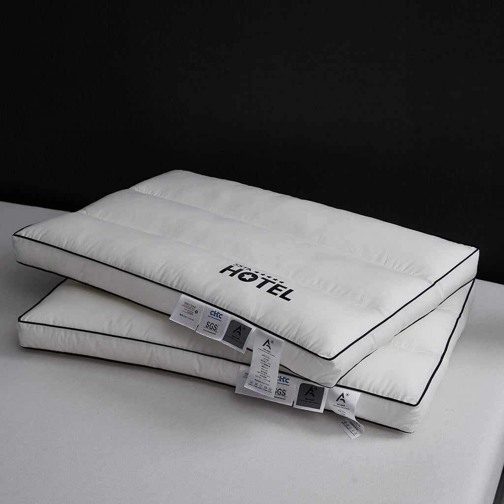 100% Cotton Five Star Hotel Pillow 2 Pack Set-4